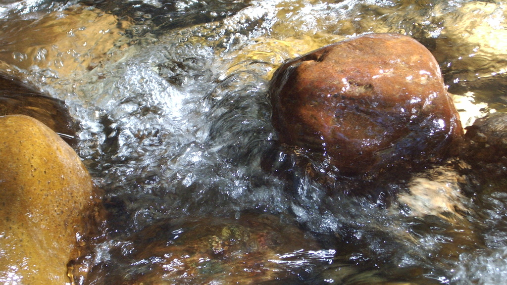 Virtual Intro to Mindfulness Workshop promotional image